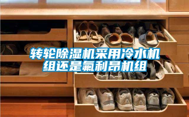 转轮茄子视频懂你更多在线观看采用冷水机组还是氟利昂机组