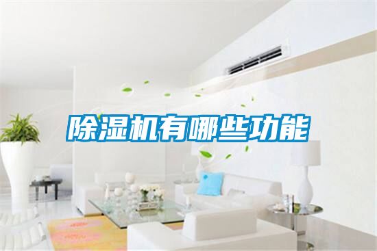 茄子视频懂你更多在线观看有哪些功能