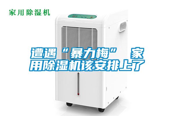 遭遇“暴力梅” 家用茄子视频懂你更多在线观看该安排上了