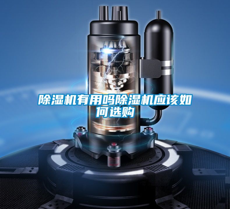 茄子视频懂你更多在线观看有用吗茄子视频懂你更多在线观看应该如何选购