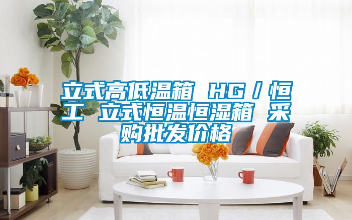 立式高低温箱 HG/恒工 立式恒温恒湿箱 采购批发价格