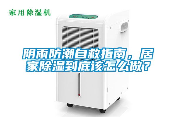 阴雨防潮自救指南，居家除湿到底该怎么做？