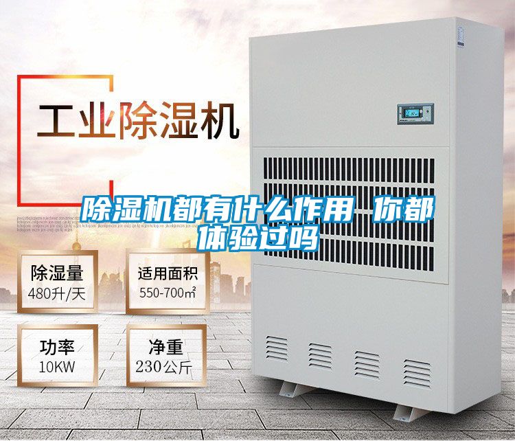 茄子视频懂你更多在线观看都有什么作用 你都体验过吗