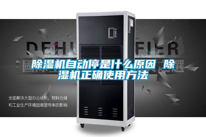 茄子视频懂你更多在线观看自动停是什么原因 茄子视频懂你更多在线观看正确使用方法