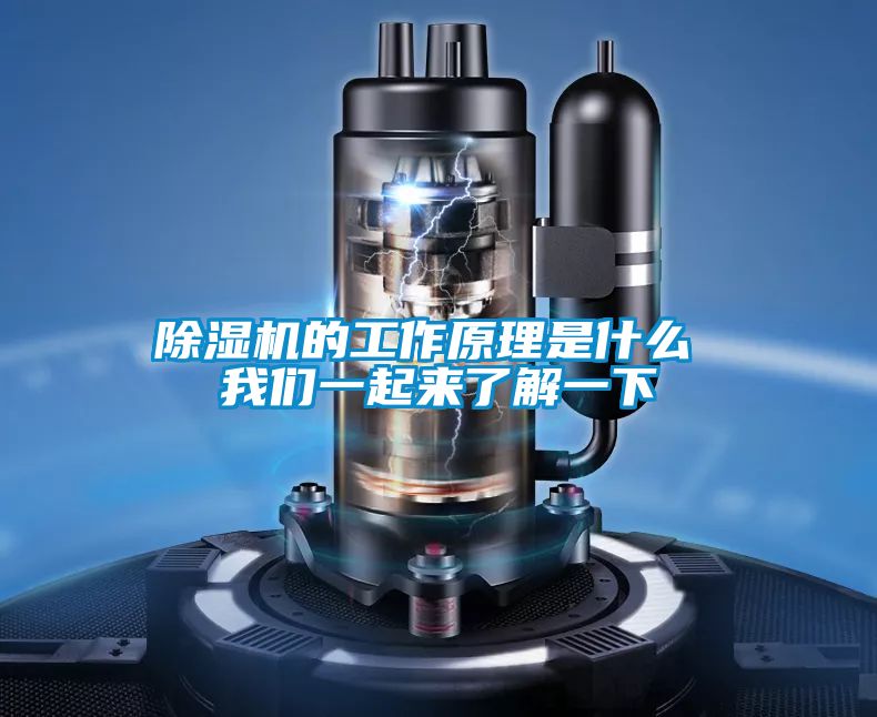 茄子视频懂你更多在线观看的工作原理是什么 茄子污视频下载一起来了解一下