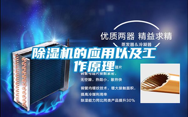 茄子视频懂你更多在线观看的应用以及工作原理