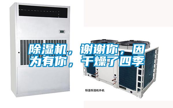 茄子视频懂你更多在线观看，谢谢你，因为有你，干燥了四季