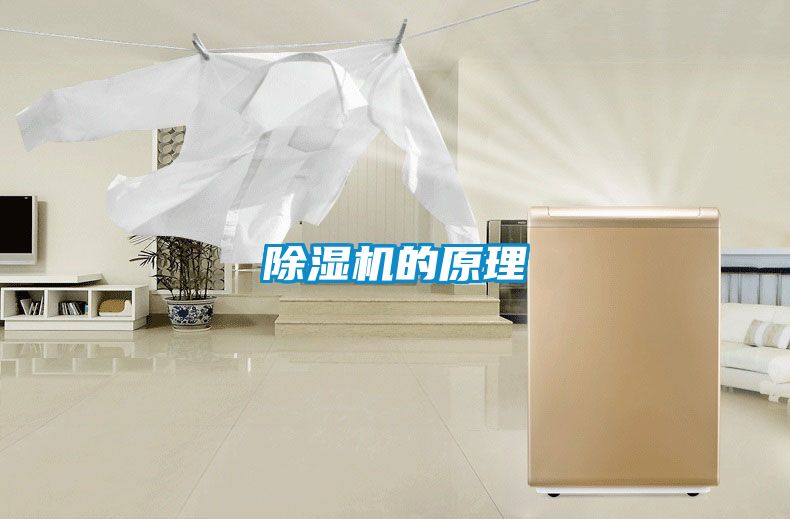 茄子视频懂你更多在线观看的原理