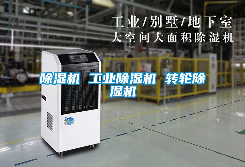 茄子视频懂你更多在线观看 工业茄子视频懂你更多在线观看 转轮茄子视频懂你更多在线观看