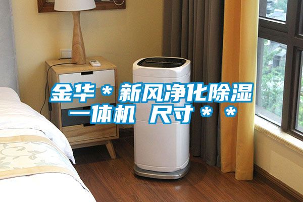 金华*新风净化除湿一体机 尺寸**