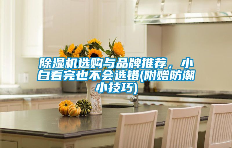 茄子视频懂你更多在线观看选购与品牌推荐，小白看完也不会选错(附赠防潮小技巧)