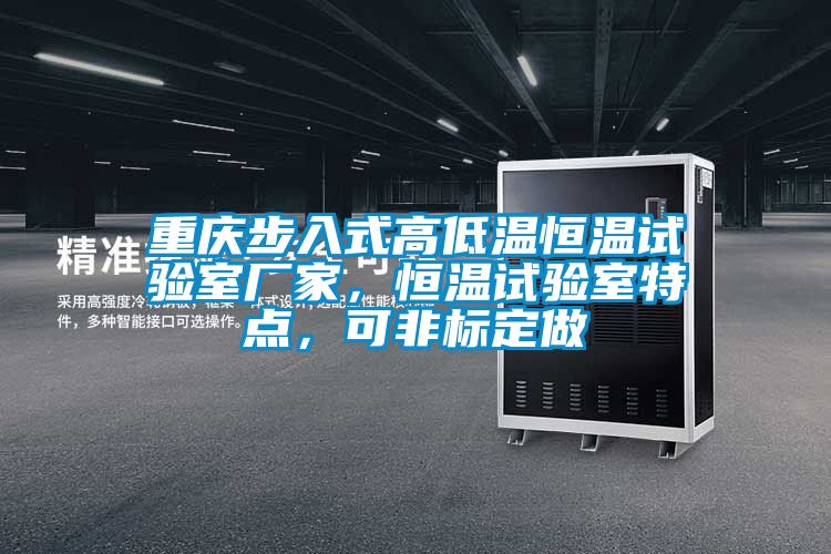 重庆步入式高低温恒温试验室厂家，恒温试验室特点，可非标定做