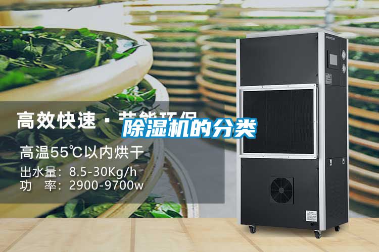 茄子视频懂你更多在线观看的分类