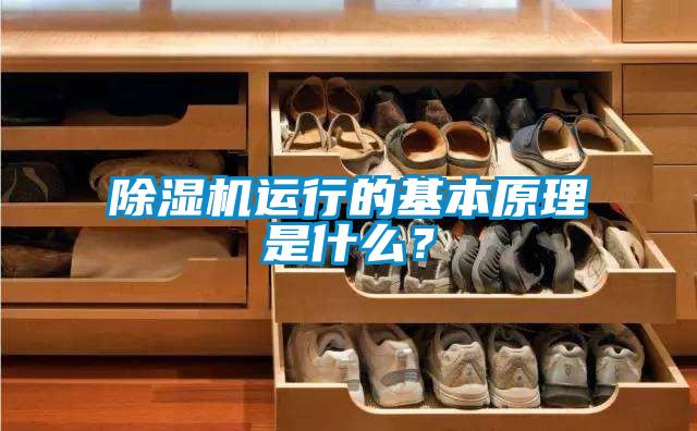 茄子视频懂你更多在线观看运行的基本原理是什么？
