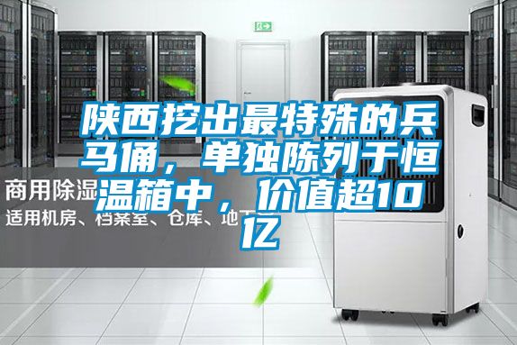 陕西挖出最特殊的兵马俑，单独陈列于恒温箱中，价值超10亿