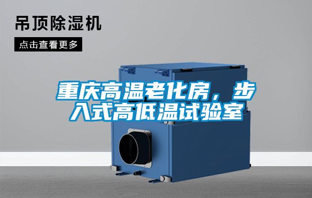 重庆高温老化房，步入式高低温试验室