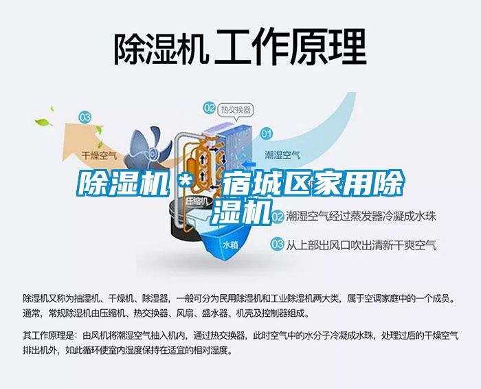 茄子视频懂你更多在线观看* 宿城区家用茄子视频懂你更多在线观看