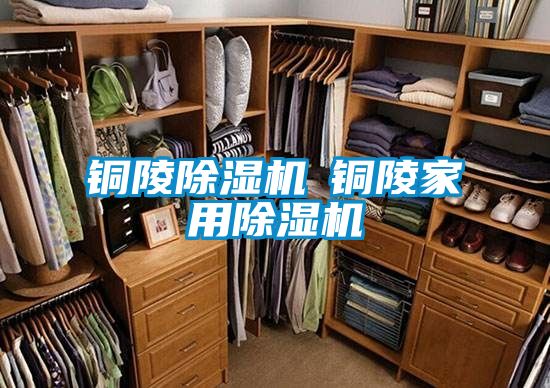 铜陵茄子视频懂你更多在线观看◆铜陵家用茄子视频懂你更多在线观看