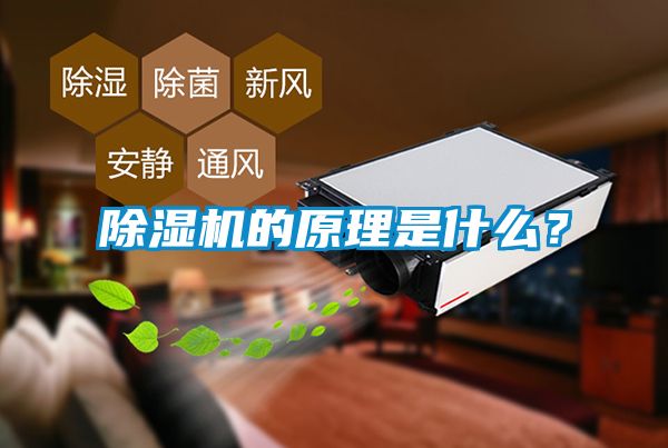 茄子视频懂你更多在线观看的原理是什么？