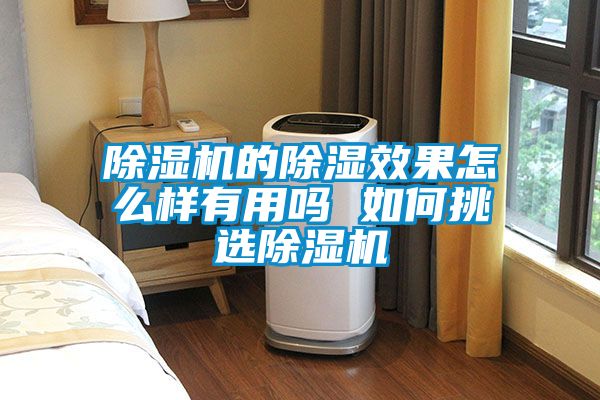 茄子视频懂你更多在线观看的除湿效果怎么样有用吗 如何挑选茄子视频懂你更多在线观看