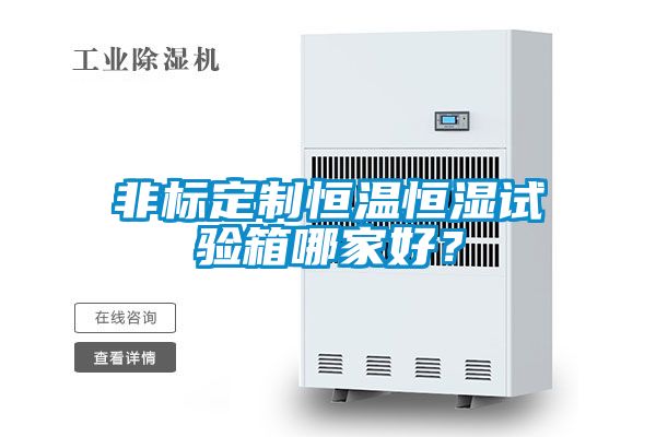 非标定制恒温恒湿试验箱哪家好？