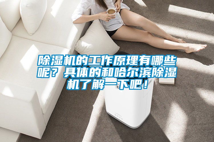 茄子视频懂你更多在线观看的工作原理有哪些呢？具体的和哈尔滨茄子视频懂你更多在线观看了解一下吧！