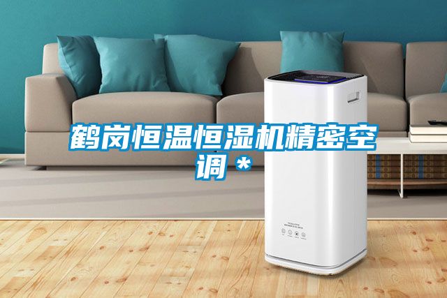 鹤岗恒温恒湿机精密空调*