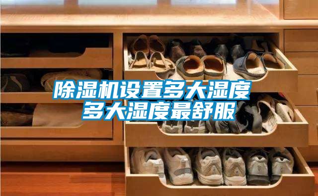 茄子视频懂你更多在线观看设置多大湿度 多大湿度最舒服