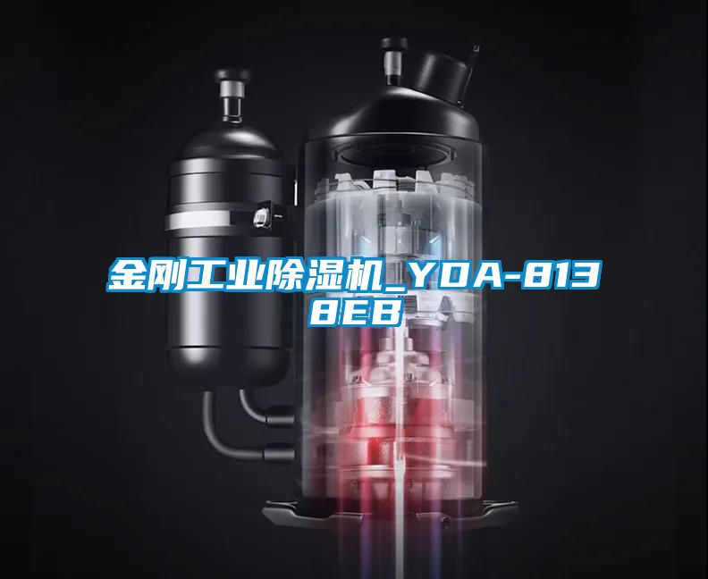 金刚工业茄子视频懂你更多在线观看_YDA-8138EB