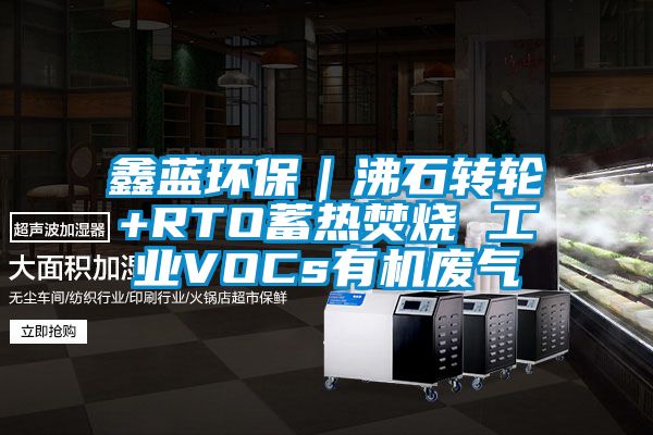 鑫蓝环保|沸石转轮+RTO蓄热焚烧 工业VOCs有机废气