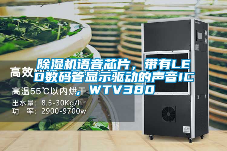 茄子视频懂你更多在线观看语音芯片，带有LED数码管显示驱动的声音IC，WTV380