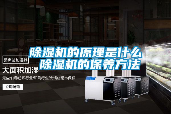 茄子视频懂你更多在线观看的原理是什么 茄子视频懂你更多在线观看的保养方法