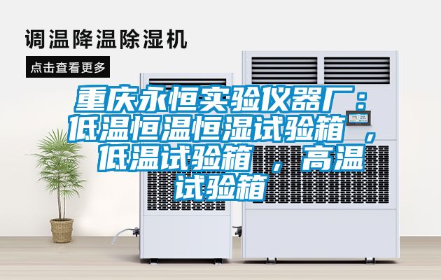 重庆永恒实验仪器厂：低温恒温恒湿试验箱 , 低温试验箱 , 高温试验箱