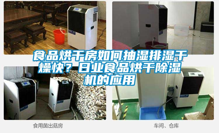 食品烘干房如何抽湿排湿干燥快？日业食品烘干茄子视频懂你更多在线观看的应用