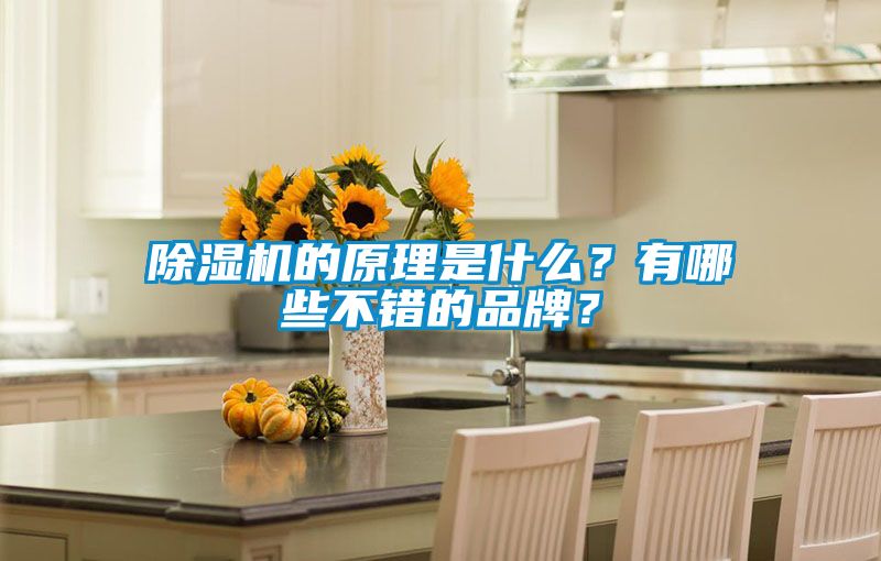 茄子视频懂你更多在线观看的原理是什么？有哪些不错的品牌？