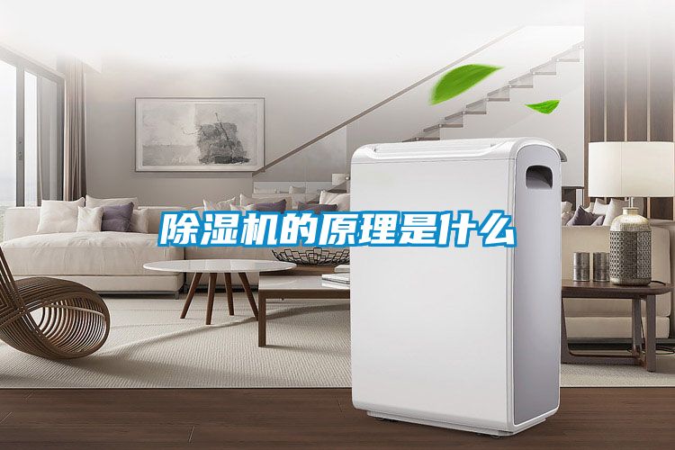 茄子视频懂你更多在线观看的原理是什么