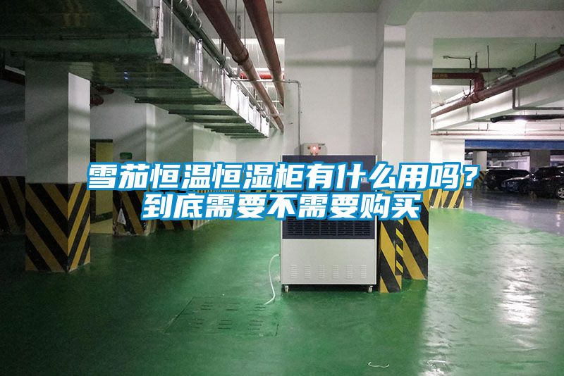 雪茄恒温恒湿柜有什么用吗？到底需要不需要购买