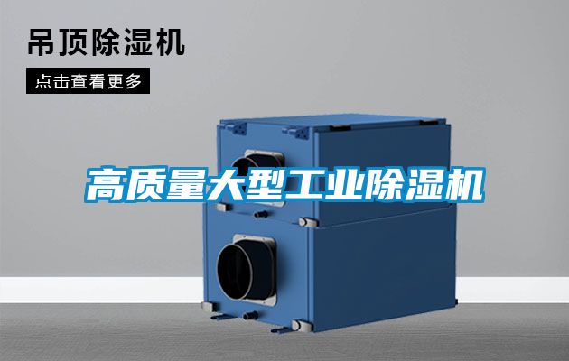 高质量大型工业茄子视频懂你更多在线观看