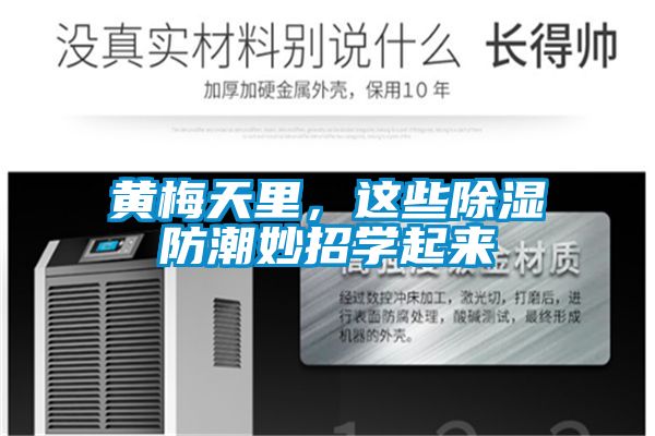 黄梅天里，这些除湿防潮妙招学起来