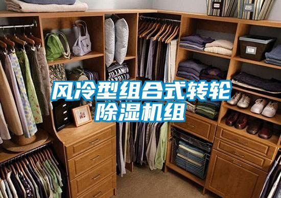 风冷型组合式转轮茄子视频懂你更多在线观看组