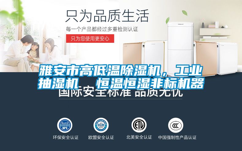 雅安市高低温茄子视频懂你更多在线观看，工业抽湿机  恒温恒湿非标机器