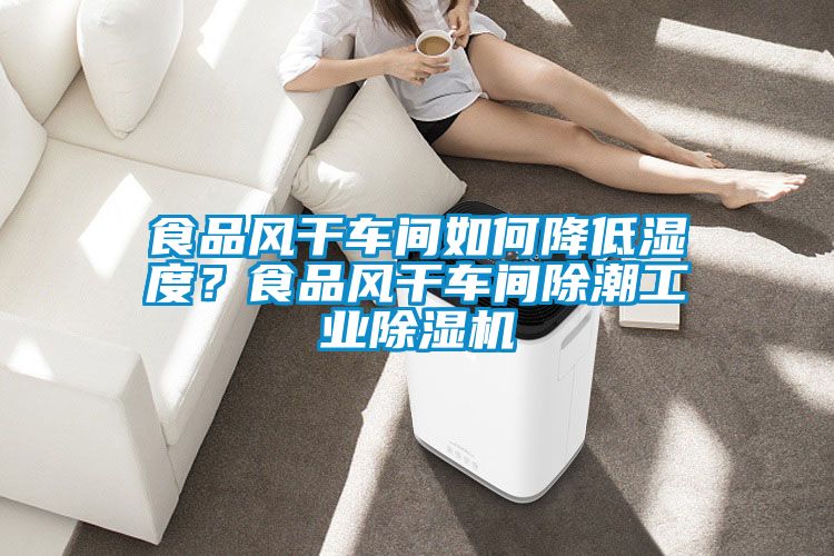 食品风干车间如何降低湿度？食品风干车间除潮工业茄子视频懂你更多在线观看