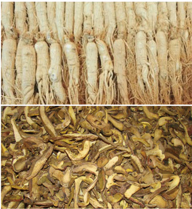 中药材烘干处理茄子黄色电影